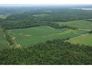 Property photo 2 - LAND AUCTION - 524+/- ACRES OFFERED IN 16 TRACTS IN MEIGS COUNTY, OHIO